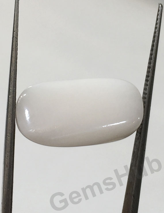 9.09 ct Natural Certified  White Coral/सफ़ेद मूंगा